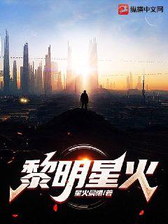 黎明星火小說封面圖
