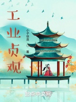 工業貞觀小說封面圖