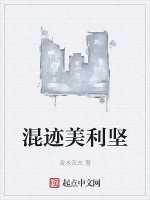 混跡美利堅小說封面圖