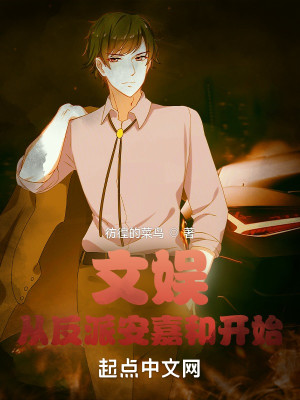 文娛：從反派安嘉和開始小說封面圖