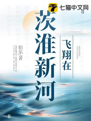 飛翔在茨淮新河小說封面圖