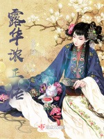 露華濃正傳小說封面圖