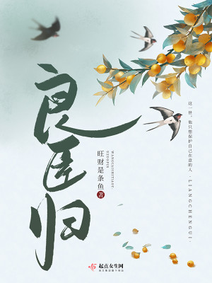 良臣歸小說封面圖