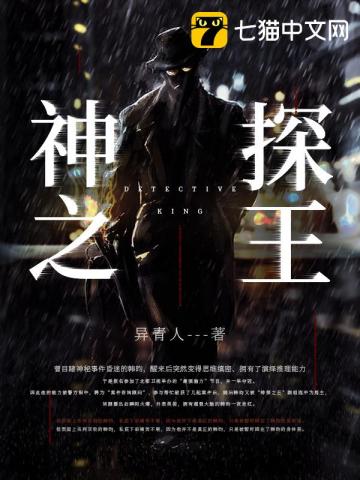 神探之王小說封面圖
