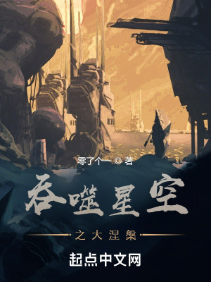 吞噬星空之大涅槃小說封面圖