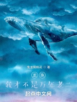 龍珠：我纔不是萬年老二小說封面圖