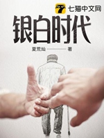 銀白時代小說封面圖