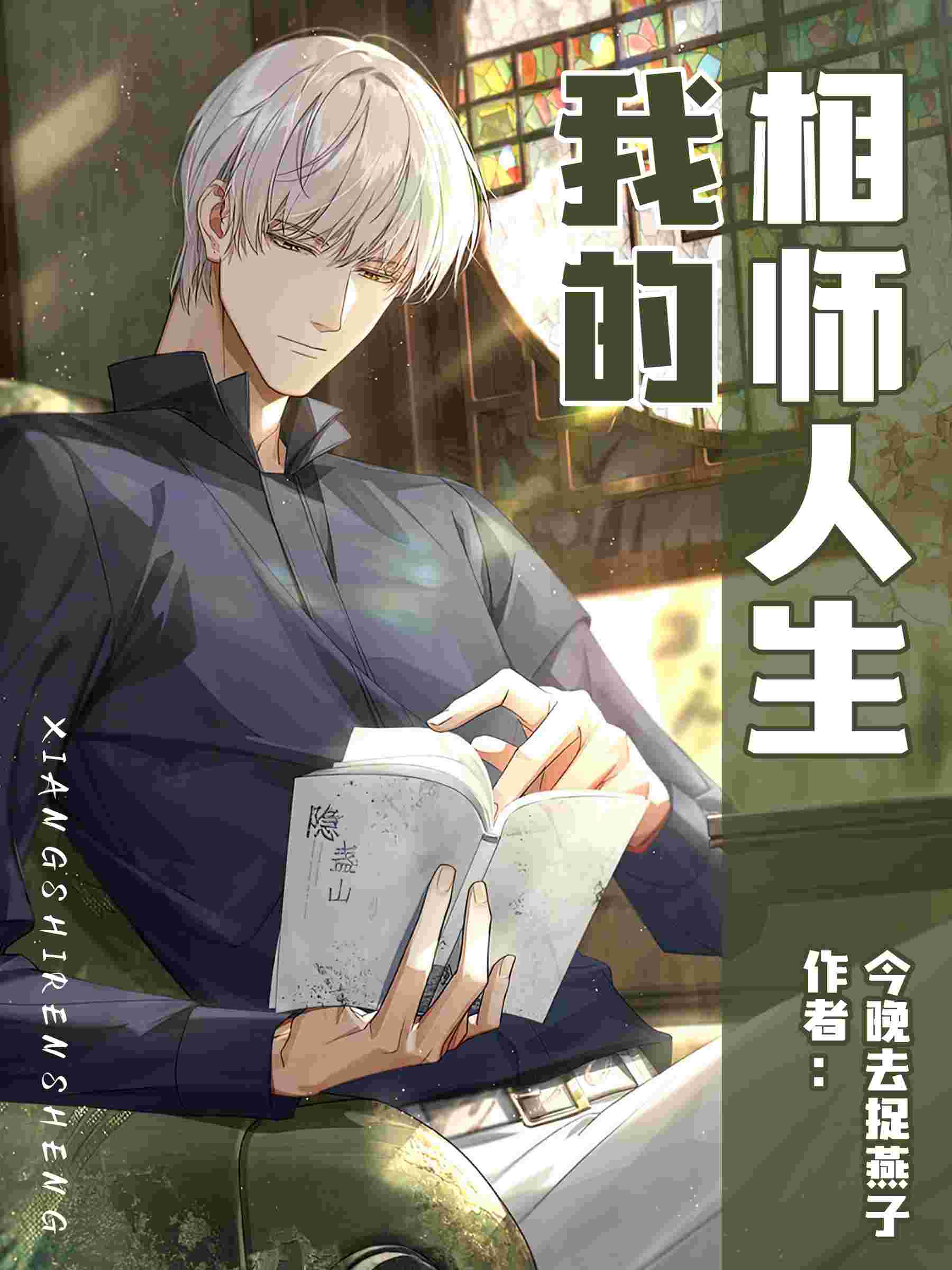 我的相師人生小說封面圖
