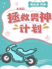 拯救男神計劃小說封面圖
