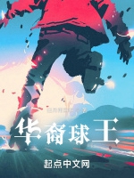 華裔球王小說封面圖