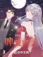 睥睨寰宇小說封面圖