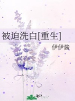被迫洗白[重生]小說封面圖