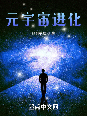 元宇宙進化小說封面圖