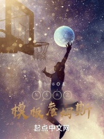 NBA之模板詹姆斯小說封面圖