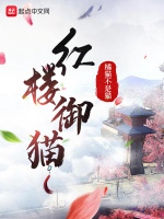 紅樓御貓小說封面圖