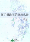 懷了攝政王的崽怎麼破小說封面圖