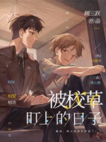 被校草盯上的日子小說封面圖
